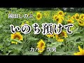 【カラオケ】いのち預けて/岡田しのぶ(カバー by Rumiko Kuwabara)