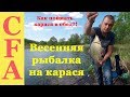 Весенняя рыбалка на карася. Как поймать карася в обед?! Рыбалка 2019