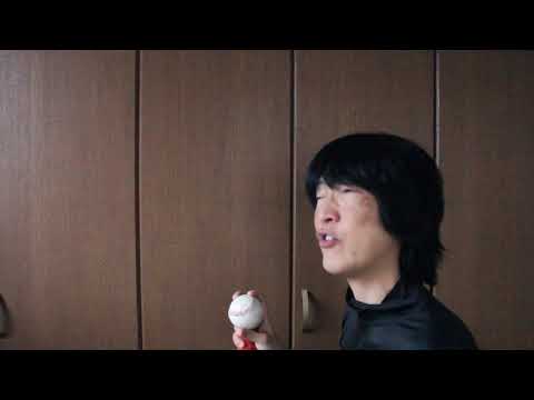 ＜キー下げ＞タッチ／岩崎良美（-9　Dm）アカペラで歌ってみた