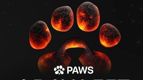 How To Verify Via PAWS 🐾 Web Successfully | PAWS  Verification | Connect Your Solana Wallet On Paws