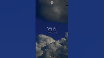 سورة الأحزاب الآية {56} من القرآن الكريم ❤️ #القرآن_الكريم #سورة_الاحزاب #الصلاة_على_النبي