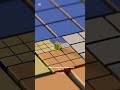 Infinite looped rubix cube daily day 11