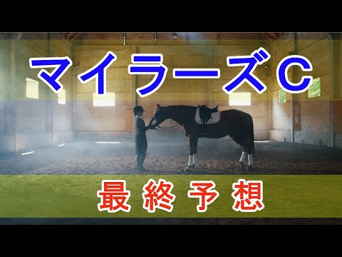 【的中】マイラーズカップ 2024 - 最終予想