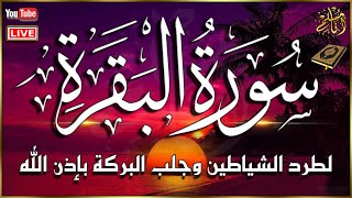 سورة البقرة كاملة لطرد الشياطين وجلب البركة بإذن الله تلاوة هادئة | يوسف العيدروس | Surah Al Baqarah