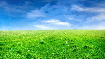 سورة النصر سيف الدين الفجراوي