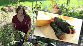 Sausage and "Gravy" Recipe - Using Your Fresh Greens like Swiss Chard & Carrots Too! - YouTube