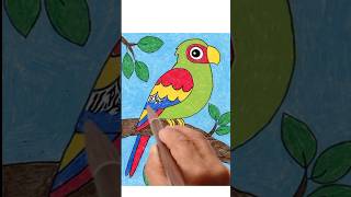 How to draw a parrot step by step for beginners