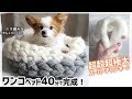 犬ベッドの編み方・作り方（道具不要！）超超超極太毛糸で40分指編みDIY