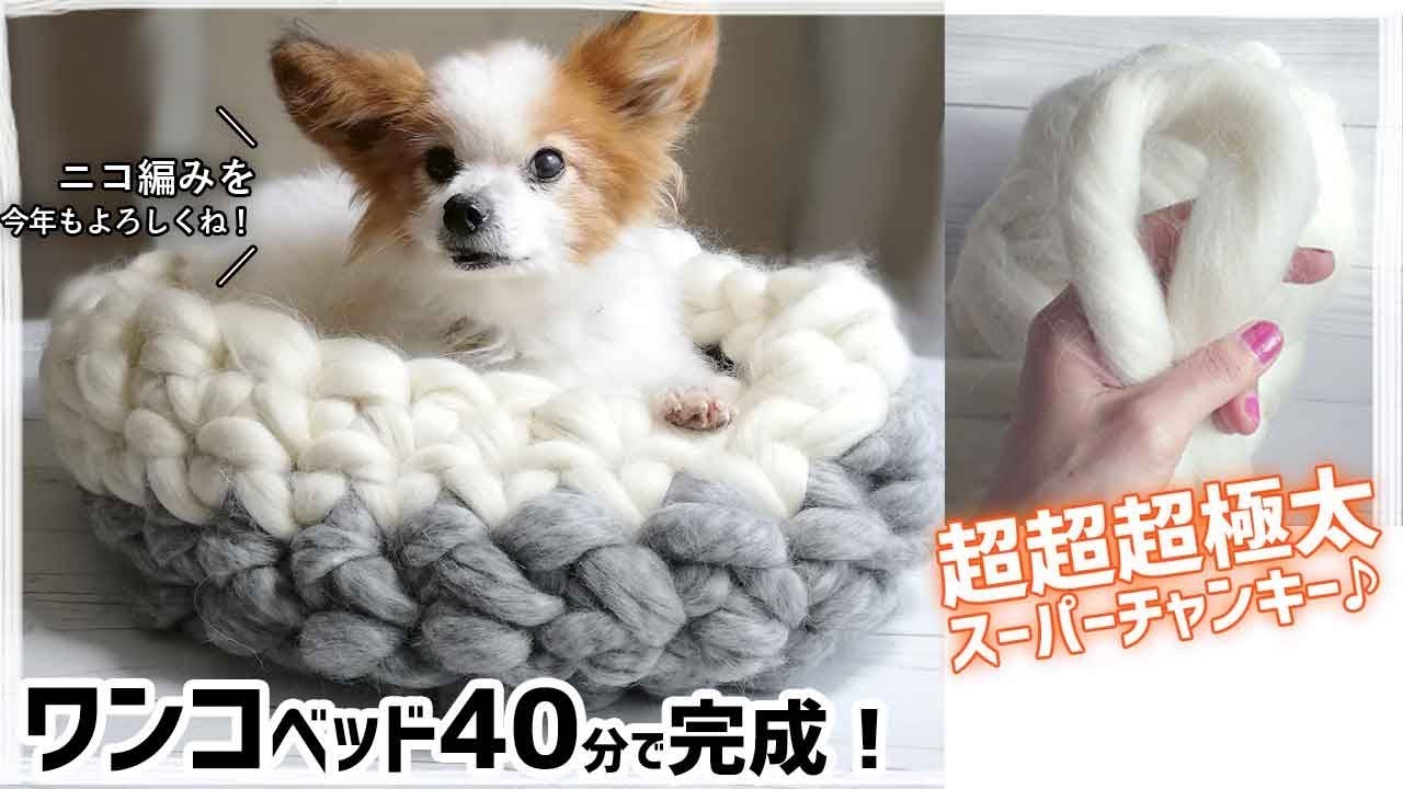 犬ベッドの編み方 作り方 道具不要 超超超極太毛糸で40分指編みdiy Youtube