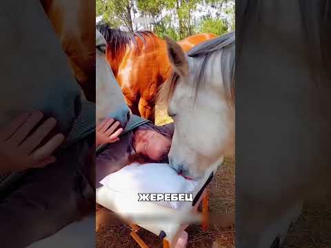 Старика бросила родня но не ЛОШАДИ🐎💔😢