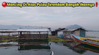 Mancing Di Atas Pulau Terendamspot Mancing Banyak Ikanya Terbarurekomendasi Spot Gacor Terbaru