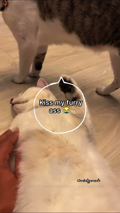 Kiss my furry XXX #Maellambong #themintgemuks