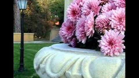 سورة البقرة 01 للقارئ داود محداب mohdeb dawoude من صلاة التراويح 2014 1435