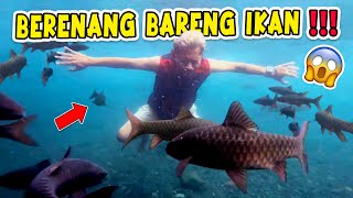 PRANK NANTANGIN PAPI BERENANG SAMA IKAN!! BERANI GAK YA..