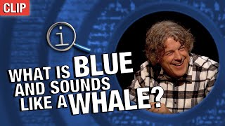 QI | What Is Blue And Sounds Like A Whale?