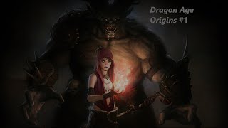 Прохождение Dragon Age Origins #1: Начало.