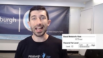 InBody   How to Interpret Obesity BMR and Visceral Fat