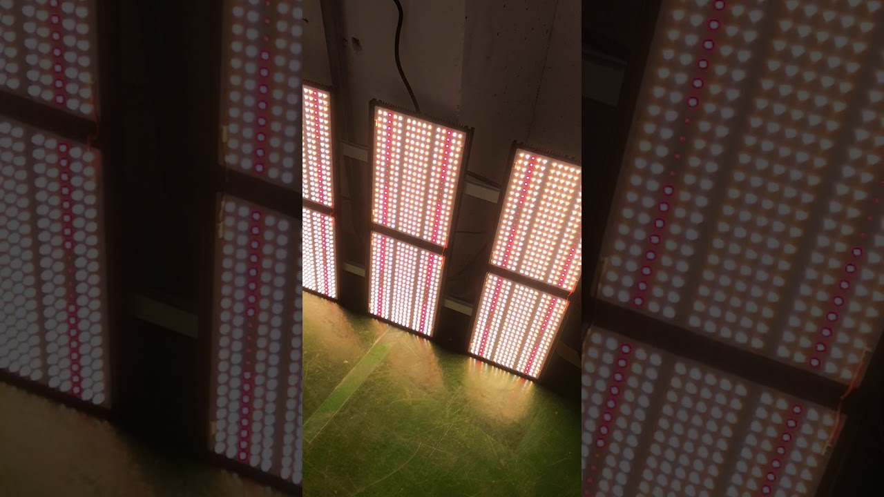 720w Full spectrum quantum panel led grow light kit