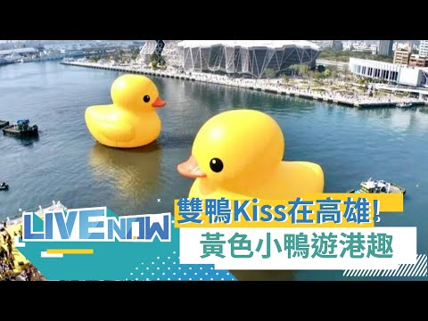 全球首創"雙鴨Kiss"在高雄! 黃色小鴨團聚親吻歡度情人節 三立全程直播｜【直播回放】20240214｜三立新聞台