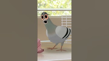 Anim Polish Pro Tip ✏️