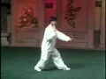 Yang style Taijiquan  49 form- Master Yang Jun