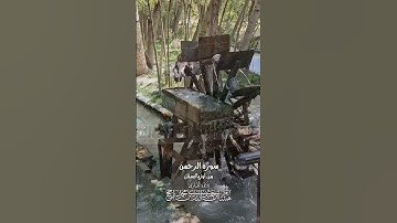 الرحمن علم القرآن || بصوت القارئ هشام عبد الباري