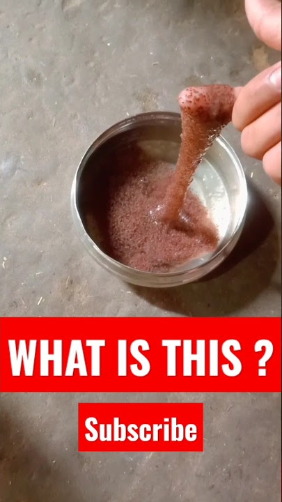 Lajvanti ka mishrad||| @short #video Arpit Nagar klabaj youtube chanel||||