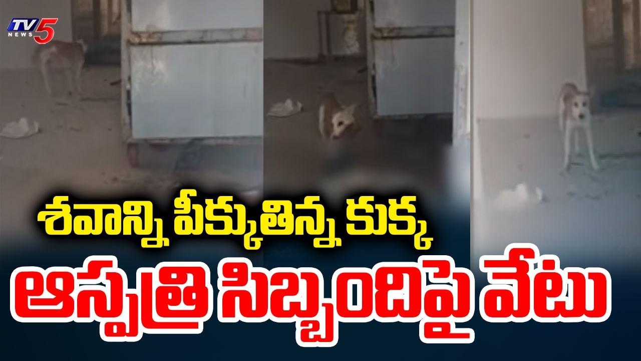 Jadcherla Govt Hospital Staff Suspended | Mortuary Dog Incident | TV5 News