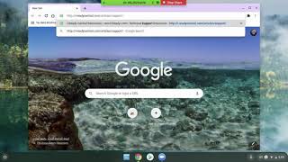 HPS iReady Pre-Test System Check Tutorial
