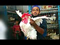 How to Butcher Every Bird | Method Mastery | Amazing Chicken Cutting Skills in Market | Foodie Man