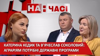 Вінниччина 2020. Шаргородщина. Шаргородська громада