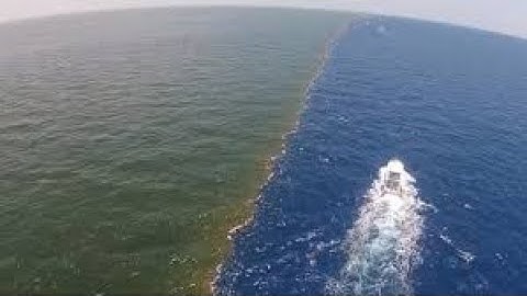 Golf van Alaska wetenschappelijk verklaard