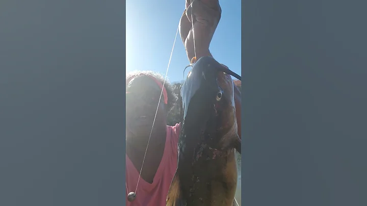 Fish On!! First Catfish Of Today