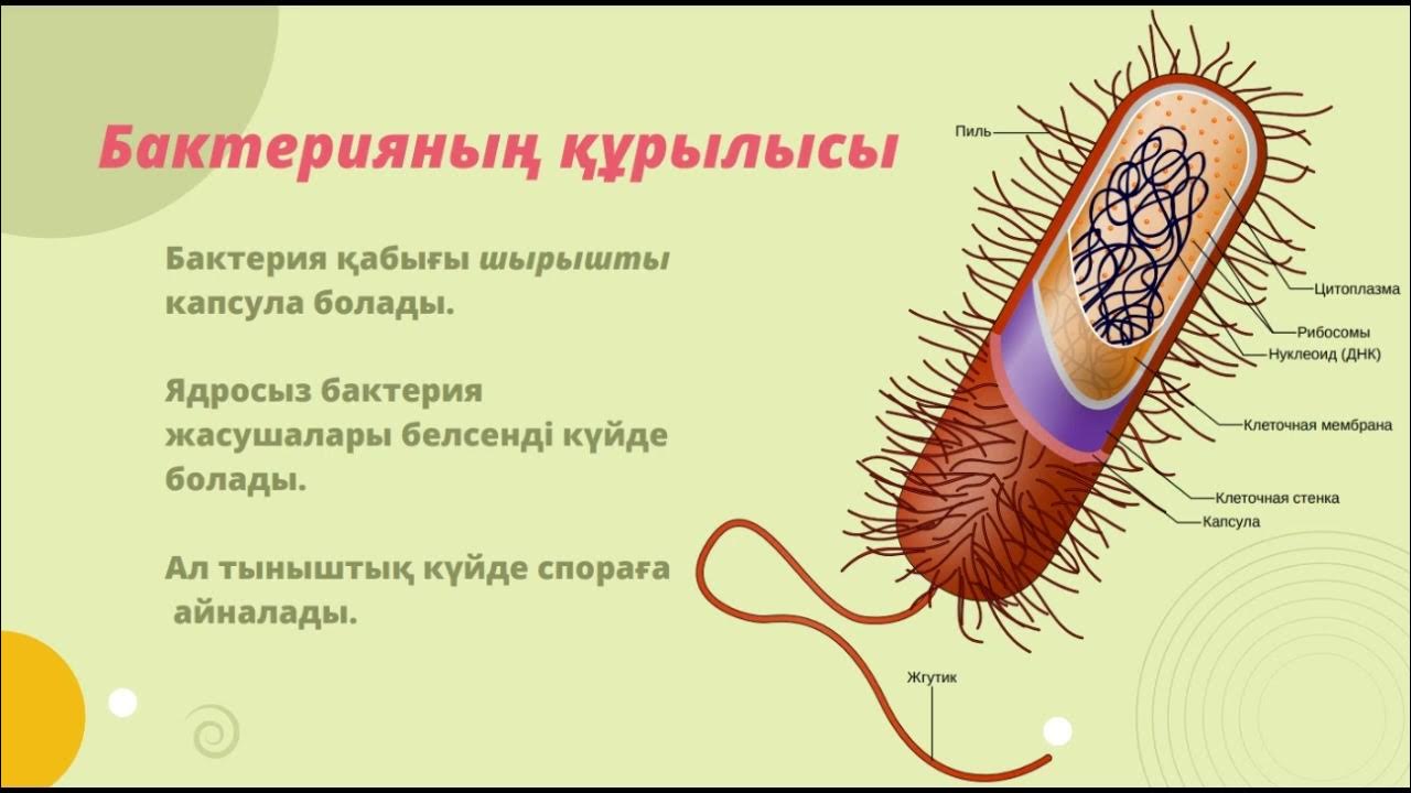 Барлығы жалаңаш жүретін планета