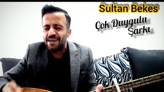 Sultan Bekes Xayina Felek 2020 Resimi