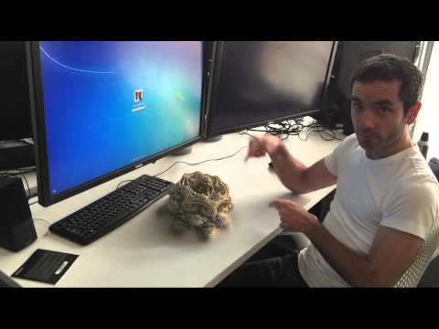 This Mandelbulb fractal is real!