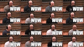 Joe 'wow' Rogan