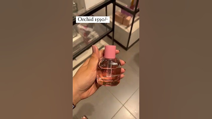 Zara top 5 fragrances