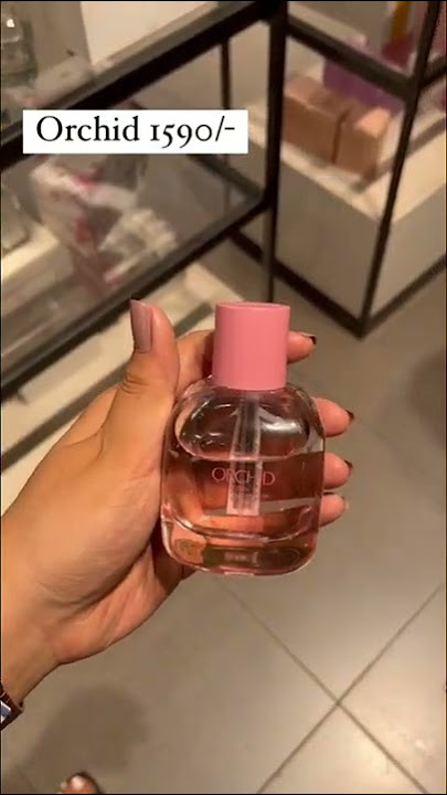 Zara top 5 fragrances