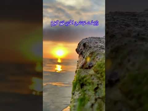  عبدالباسط وتولى عنهم وقال يا أسفى على يوسف وابيضت عيناه من الحزن فهو كظيم