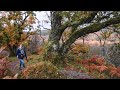 AUTUMN IN THE SCOTTISH HIGHLANDS | abandoned village, car camping, Celtic rainforest & waterfalls