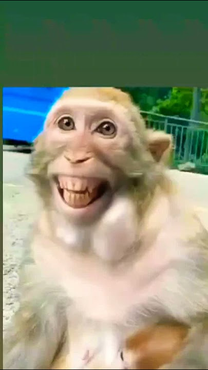 funny video 😂😂😂 rinkiya  ke  papa😂😂