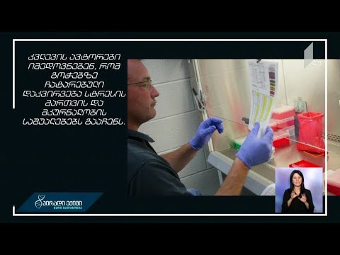 #პირადიექიმი სტრესთან დაკავშირებული კუჭ-ნაწლავის დაავადების რისკი