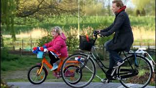 Koningsdag Bombarieoptocht Aalst 2015