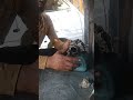 Live highlight