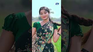 Super Dhamaka Cd Choice Song #cdchoice #musicvideo #banglasong