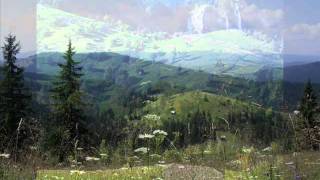 Doina din Ardeal   (Instrumental Music)