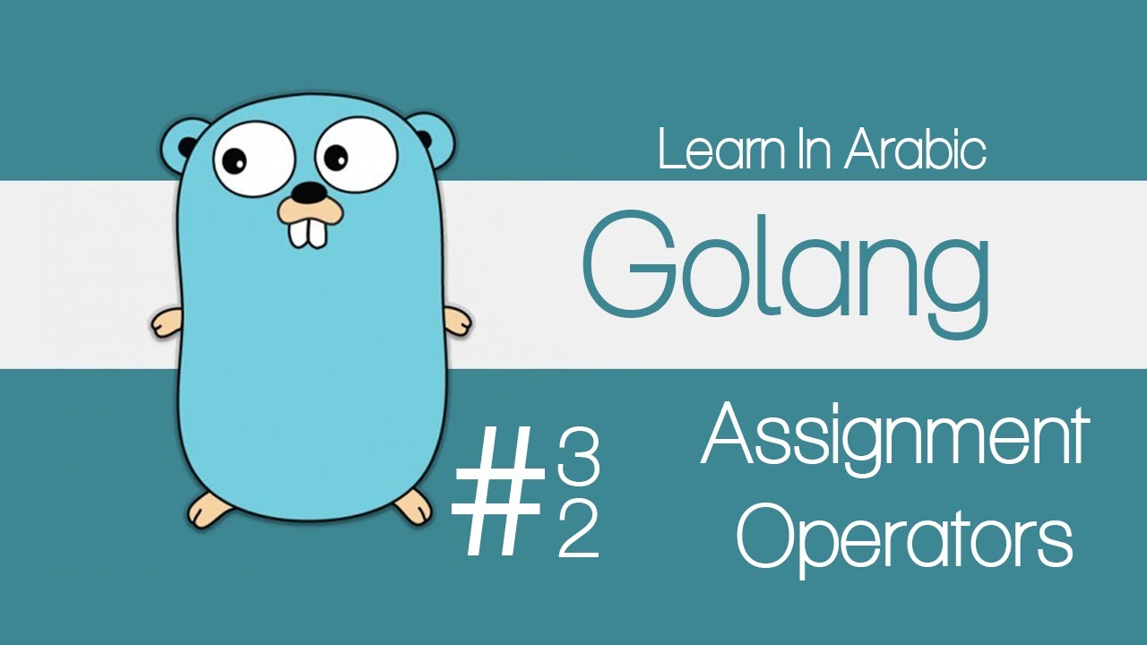 golang assignment operators