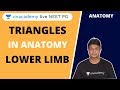 TRIANGLES IN ANATOMY - Lower limb | Dr. Azam