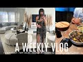 Weekly vlog  new decor trying therapy again business is stressful